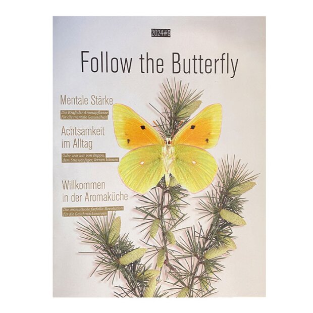 Follow the butterfly, Farfalla Magazin, 9/2024